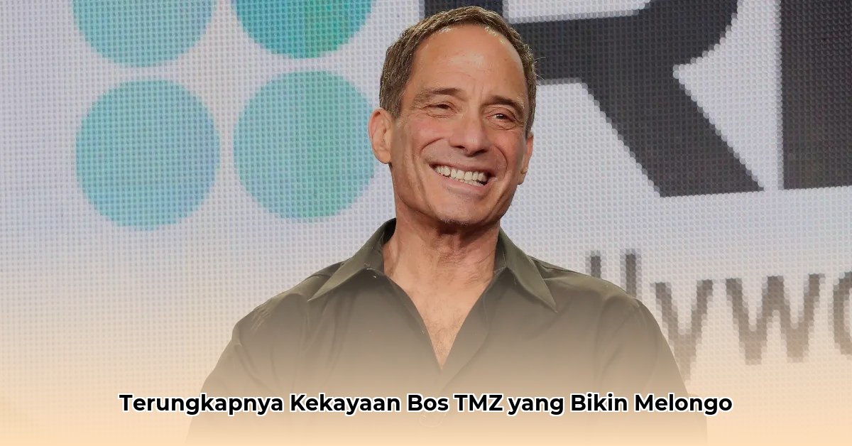 harvey levin net worth